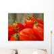 Tomato Harvest Wall Mural