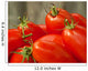 Tomato Harvest Wall Mural