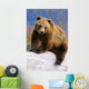 Brown Bear Sitting atop Wall Decal