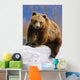 Brown Bear Sitting atop Wall Decal