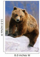 Brown Bear Sitting atop Wall Decal