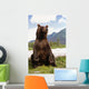 Captive Wall Mural