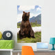 Captive Wall Mural