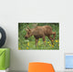 Cow Moose & Calf Together Wall Mural