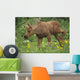 Cow Moose & Calf Together Wall Mural
