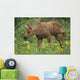 Cow Moose & Calf Together Wall Mural