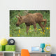 Cow Moose & Calf Together Wall Mural