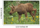Cow Moose & Calf Together Wall Mural