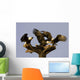 Group Of Perched Bald Eagles Fighting Over Fish Wall Mural