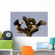 Group Of Perched Bald Eagles Fighting Over Fish Wall Mural