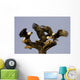 Group Of Perched Bald Eagles Fighting Over Fish Wall Mural