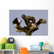 Group Of Perched Bald Eagles Fighting Over Fish Wall Mural