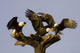 Group Of Perched Bald Eagles Fighting Over Fish Wall Mural