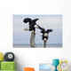 Two Bald Eagles Perched On Driftwood Near Homer Wall Mural