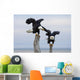 Two Bald Eagles Perched On Driftwood Near Homer Wall Mural