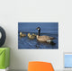Adult Canada Goose Swimming With Four Newborn Gosling Chicks Wall Mural