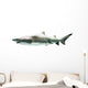 Side-view Great White Shark Wall Decal
