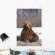 Captive Wall Mural