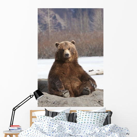 Captive Wall Mural