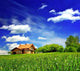 New House Imagination Green Wall Decal