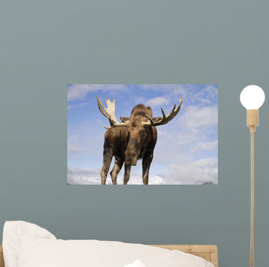 Captive Wall Mural