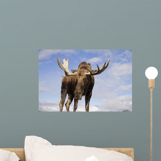Captive Wall Mural