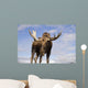 Captive Wall Mural