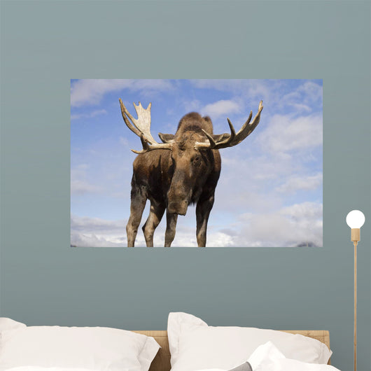 Captive Wall Mural