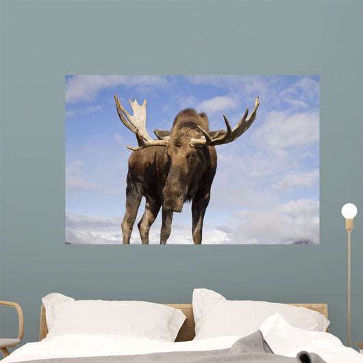 Captive Wall Mural