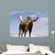 Captive Wall Mural