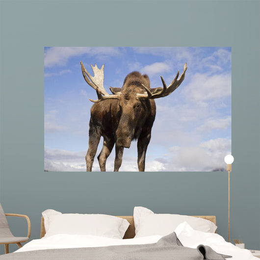 Captive Wall Mural