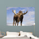 Captive Wall Mural