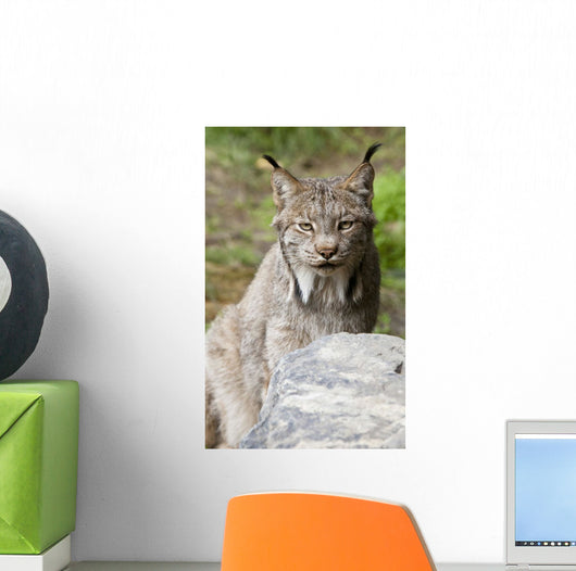 Captive Wall Mural
