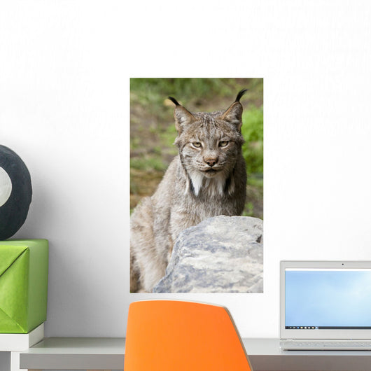 Captive Wall Mural
