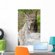 Captive Wall Mural