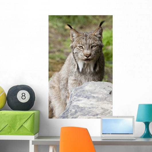 Captive Wall Mural
