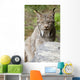 Captive Wall Mural