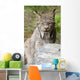 Captive Wall Mural
