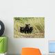 Three Black Bear Cubs Sit Wall Mural