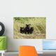 Three Black Bear Cubs Sit Wall Mural
