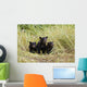Three Black Bear Cubs Sit Wall Mural