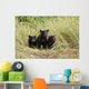 Three Black Bear Cubs Sit Wall Mural
