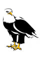 Bald Eagle Wall Mural