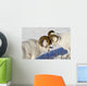 Two Ram Dall Sheep But Heads Wall Mural