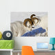 Two Ram Dall Sheep But Heads Wall Mural