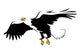 Bald Eagle Flying Wall Mural