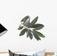 olive branch Wall Decal