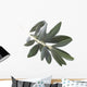 olive branch Wall Decal