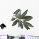 olive branch Wall Decal