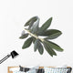 olive branch Wall Decal